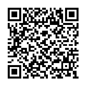 谁也没把那骨器和它背后的骨器师特别放在心上二维码生成