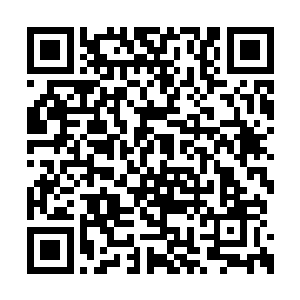 谁也没有想到在仙界还有有那么一个恐怖的地方二维码生成