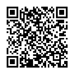 谁也没有想到地灵族族长竟然在仙阵中连一刻钟都没有坚持到二维码生成