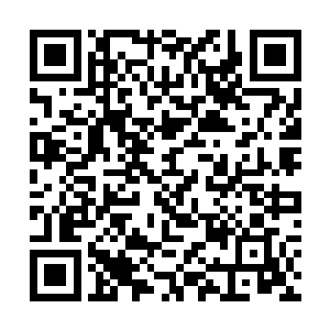 谁也没有注意到……陈小练的眼神里闪过了一丝精芒二维码生成