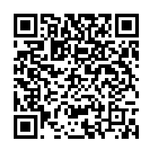 谁他妈在胡扯说李瑾是金梁先生开后门才能参演的二维码生成
