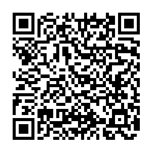 谁他妈的不想好好的过日子而整天朝不保夕的过着你死我活刀头舔血的生活二维码生成