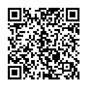 谁会想到豹女和潘森会连一点儿预兆都没有突然被抓二维码生成