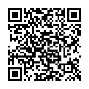 谁会想到那个名不经传的厉王妃竟是个武功高手二维码生成