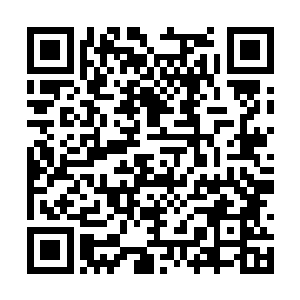 谁会把自己看都看不顺眼的人留在身边恶心自己啊二维码生成