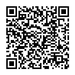 谁千辛万苦靠着老天爷的保佑捕捉到了一只奥斯丁战斗蟹会舍得吃掉呢二维码生成