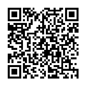 谁又会在意这掌声究竟是送给他卢向东的还是送给贾克爽的二维码生成