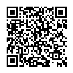 谁叫李瑾儿随随便便就练到了无极境初期巅峰呢二维码生成