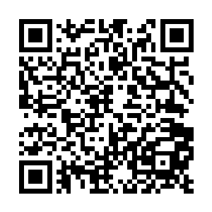 谁告诉你宫殿的大门必须要启动机关才可以开启了二维码生成