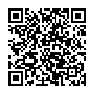 谁就可以被认定为杜家拍卖行的唯一决策人　――　行长二维码生成