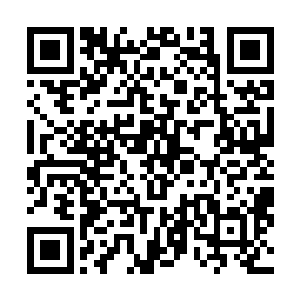 谁想到小胖对这个不学无术自以为是的家伙更加的鄙夷了二维码生成