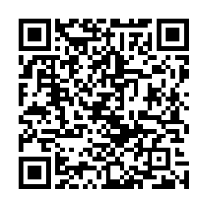 谁想到早上起来却看见你在你妹妹房间里头抱着她一起睡觉二维码生成
