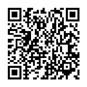 谁料霍君白体内藏着的小五却发现了他们的气息二维码生成