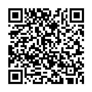 谁料青黎忽然从小青蛟的伤口中看到了一条紫电闪过二维码生成