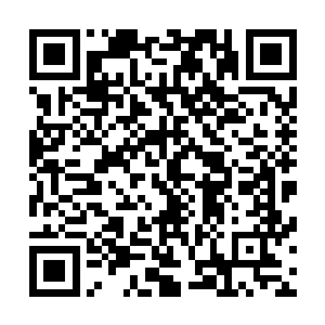 谁曾想教宗大人竟是如此简单利落地把所有事情都说了出来二维码生成