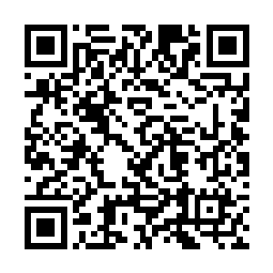 谁知关键时刻出现一位紫莲境界的高手将其给救走了二维码生成