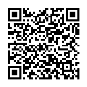 谁知就在两位龙族长老闯进一处魔窟大开杀戒之时二维码生成