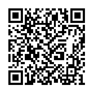 谁知战如意却足足隔了大半年才再次出宫来御田二维码生成