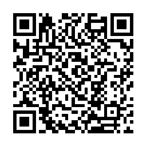 谁知没几下眼前的龙骸居然由上而下传来一阵嘎嘣声二维码生成