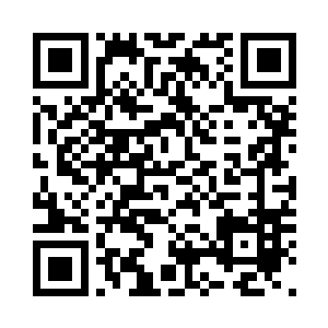 谁知道他竟然会碰见自己的一位族人二维码生成
