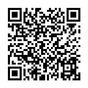 谁知道会不会突然冒出一只炼虚渡劫甚至大乘的妖兽来二维码生成