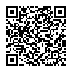 谁知道凌霄大将派来的领域强者是不是还在此地监视二维码生成