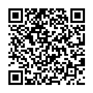 谁知道却在马文的威逼利诱下成为了马文的临时坐骑二维码生成