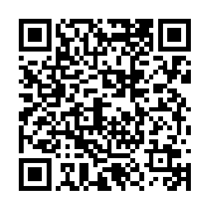 谁知道叶莫居然将他幽兰天府的五大侍卫全部斩杀二维码生成