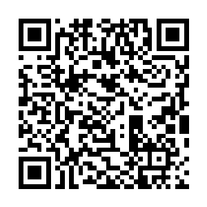 谁知道在接下来的探索过程中还有没有需要许紫烟的时候二维码生成