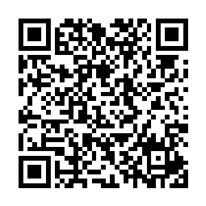 谁知道当年你家人到底有没有遭到三大势力的赶尽杀绝二维码生成