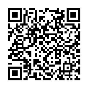 谁知道洪潮军团究竟是何等恐怖和诡异的生命形态二维码生成