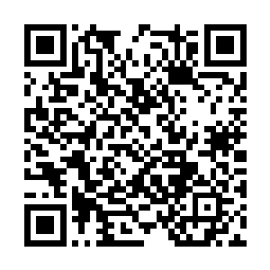 谁知道百里尾生居然这么快就开启了毒兽世界大门二维码生成