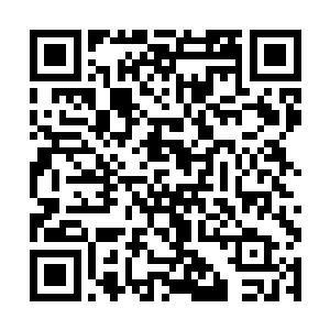 谁知道穆凌已经强硬地把他们的箱子都搬上自己的车二维码生成