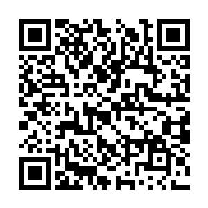 谁知道这位五十多岁的秃顶教授听完了洪涛的理由二维码生成