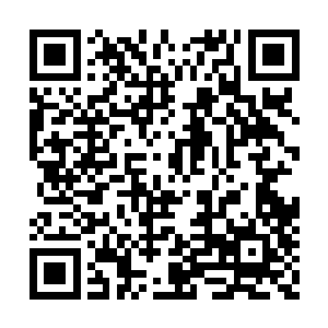 谁知道那位大人会给自己的家族留下什么底牌呢二维码生成