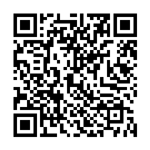 谁能够在一堆武器零件之中快速分拣组装成可以射击的枪械二维码生成