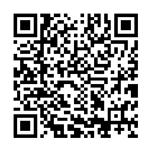 谁能够想到丁羽这个家伙出来的时候还带着这么多的家伙式二维码生成
