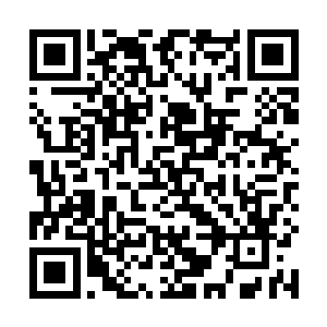 谁能够想到赫赫有名的虎臣哥会是如此一个年轻俊杰呢二维码生成