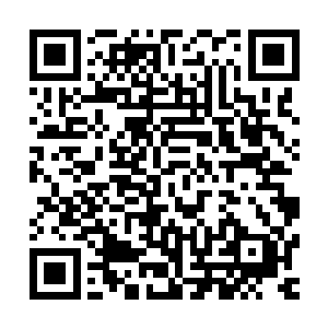 谁能想到平常高贵端庄的皇甫掌柜如今竟是这般羞人不堪模样二维码生成