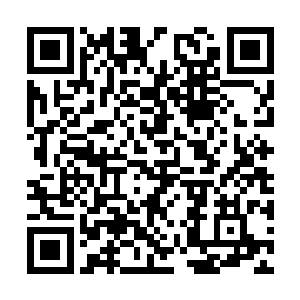 谁能想到张潇晗从上古密地出来之后因为有所领悟二维码生成