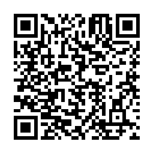 谁能想到有一天大世界无数天才为之倾慕的天之骄女二维码生成