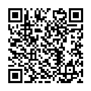 谁能想得到名满天下的衣禅会如一个小孩子般撒娇二维码生成