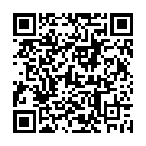 谁能想的到他会突然心血来潮去参加一个选秀节目二维码生成
