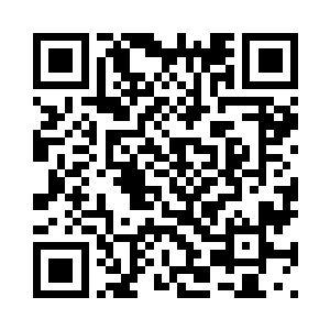 谁让他们开车从来都不系安全带的二维码生成