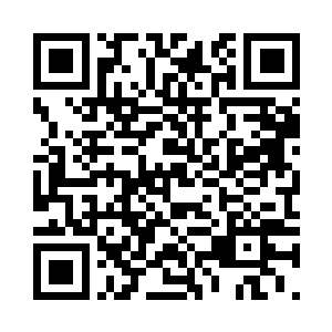 谁让他是第二轮第一个结束战斗的呢二维码生成