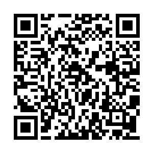 谁还能拥有这独一份连皇权都比不上的富贵荣华二维码生成