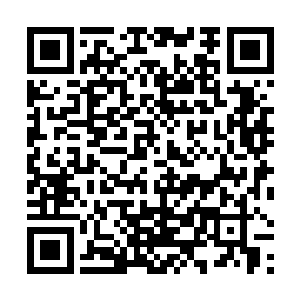 谁都不希望自己挂掉……尤其是他们这样的至尊境强者二维码生成