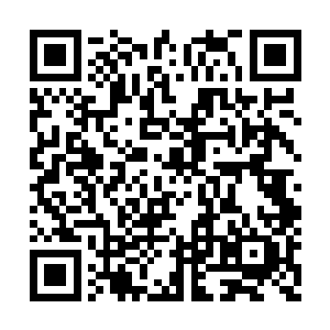 谁都不知道下一刻登陆红地毯的会是什么大人物二维码生成