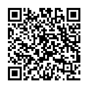 谁都没想到苏凡竟然会以这种方式消失在众人的面前二维码生成