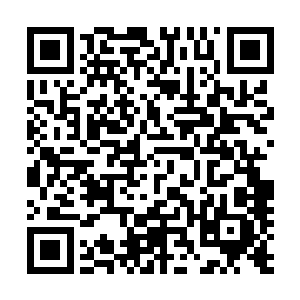 谁都没有发现龙弦喊完这话好像是不在意的把手放到了身后二维码生成